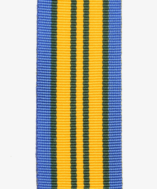 Netherlands, Nijmegen March, Four Days' Marches Support Medal (448)